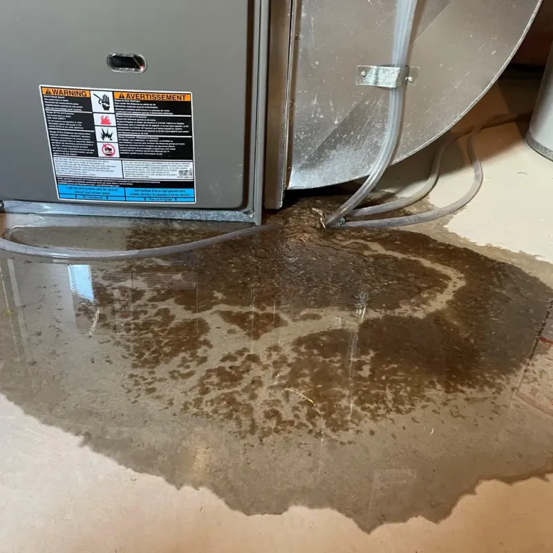 Appliance Leak Cleanup in South Barre, VT